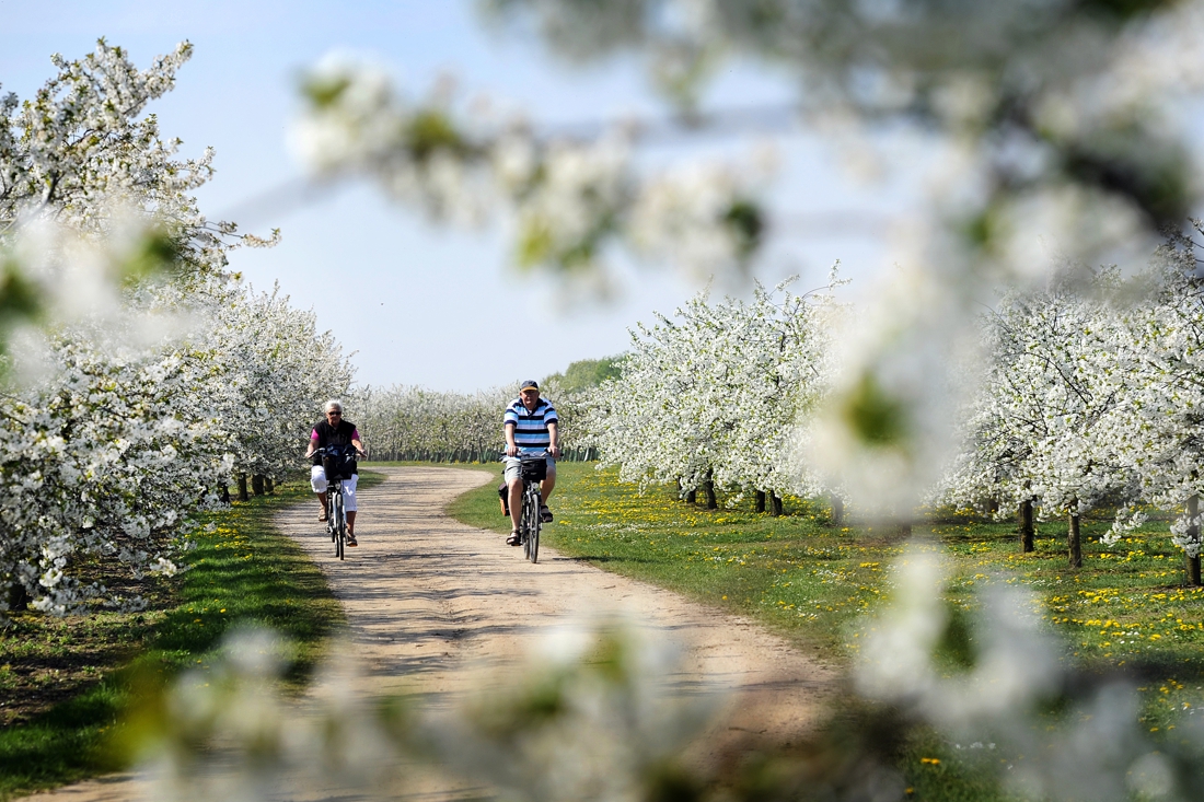 Fietsers voelen zich best oké in Noord Limburg De Limburger