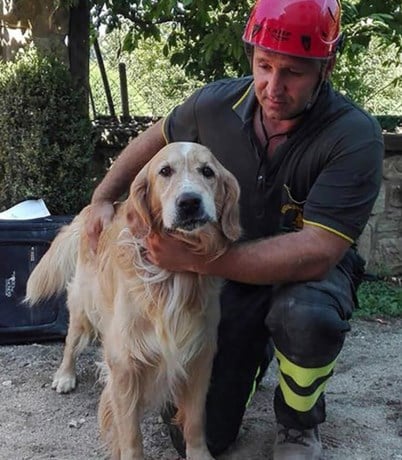 Mirakel in Italië: hond na negen dagen onder puin gered