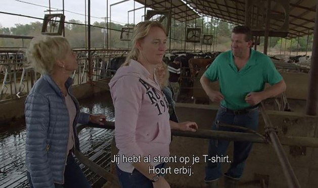 Vier miljoen zagen finale Boer Zoekt Vrouw