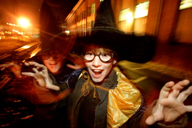 Dieven aan de haal met Harry Potter-verhaal