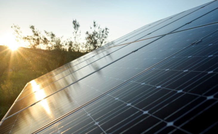 Omwonenden niet blij met zonneweide Brunssum: 'Liever bij de buren'