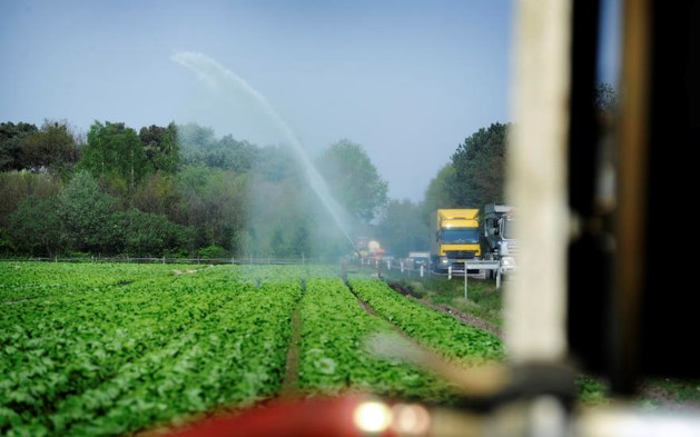 Limburgse boeren mogen geen water meer uit beken halen