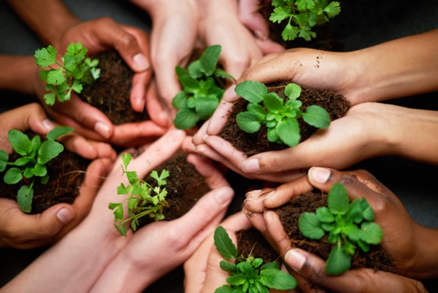 Breng je stem uit: wie is de meest 'groene' vrijwilliger van Limburg?