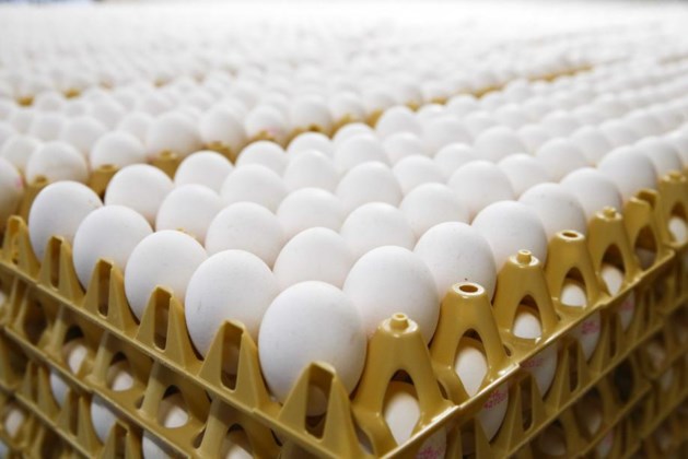 Forse kritiek op onduidelijkheid rond eieren