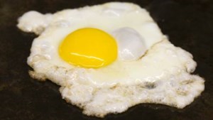 'Consument koopt weer volop eieren'