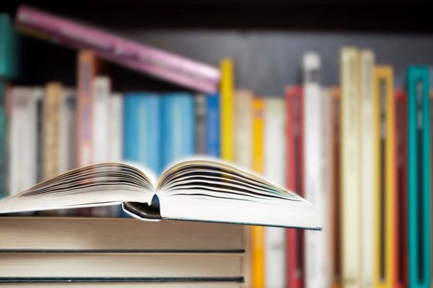 Recordopbrengst boeken- en platenbeurs Blerick