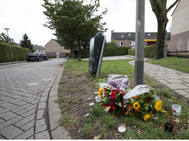 NFI bevestigt: Willem Evers overleed niet door klappen hangjongeren
