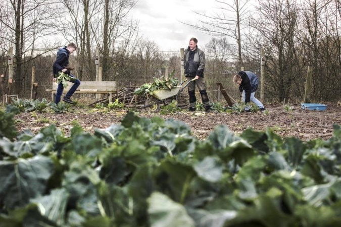 'Wat hier gebeurt, deden wij vroeger in onze achtertuin'