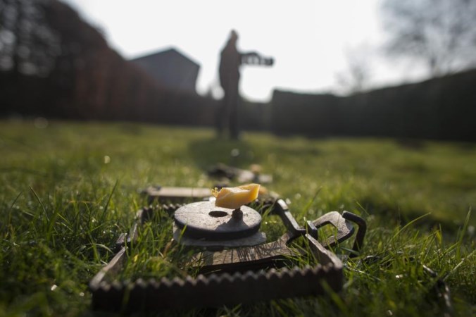 Tien vallen in de tuin om rattenplaag te bestrijden