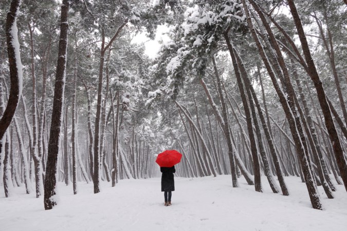 De Siberische Beer: feiten en fabels over de kou