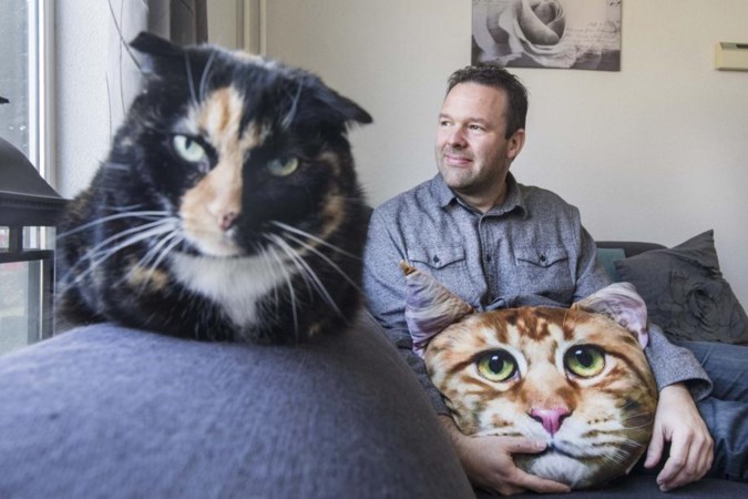 Poezendrama: katten zwaar mishandeld of dood teruggevonden