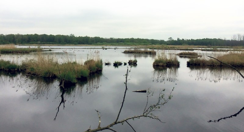 Kritiek op uitvoering project Kempen-Broek