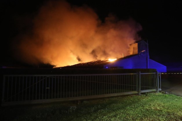 Wake voor duizenden kippen die omkwamen bij stalbrand Ospel