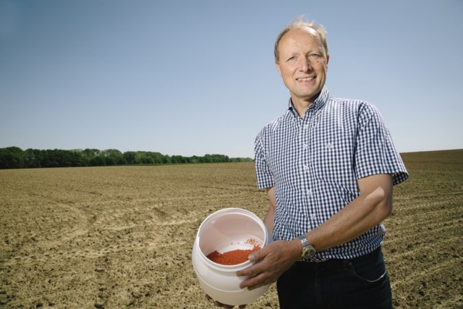 Bijen doodsteek voor bietenboer?