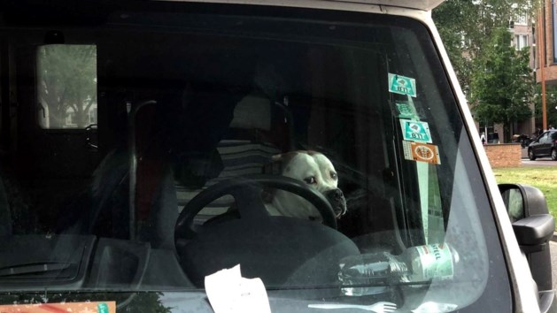 Hond dolblij na reddingsactie politie uit hete camper