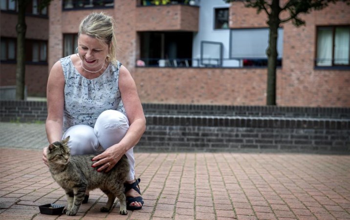 Heerlens stel neemt al vijftien jaar zorg voor zwerfkatten op zich