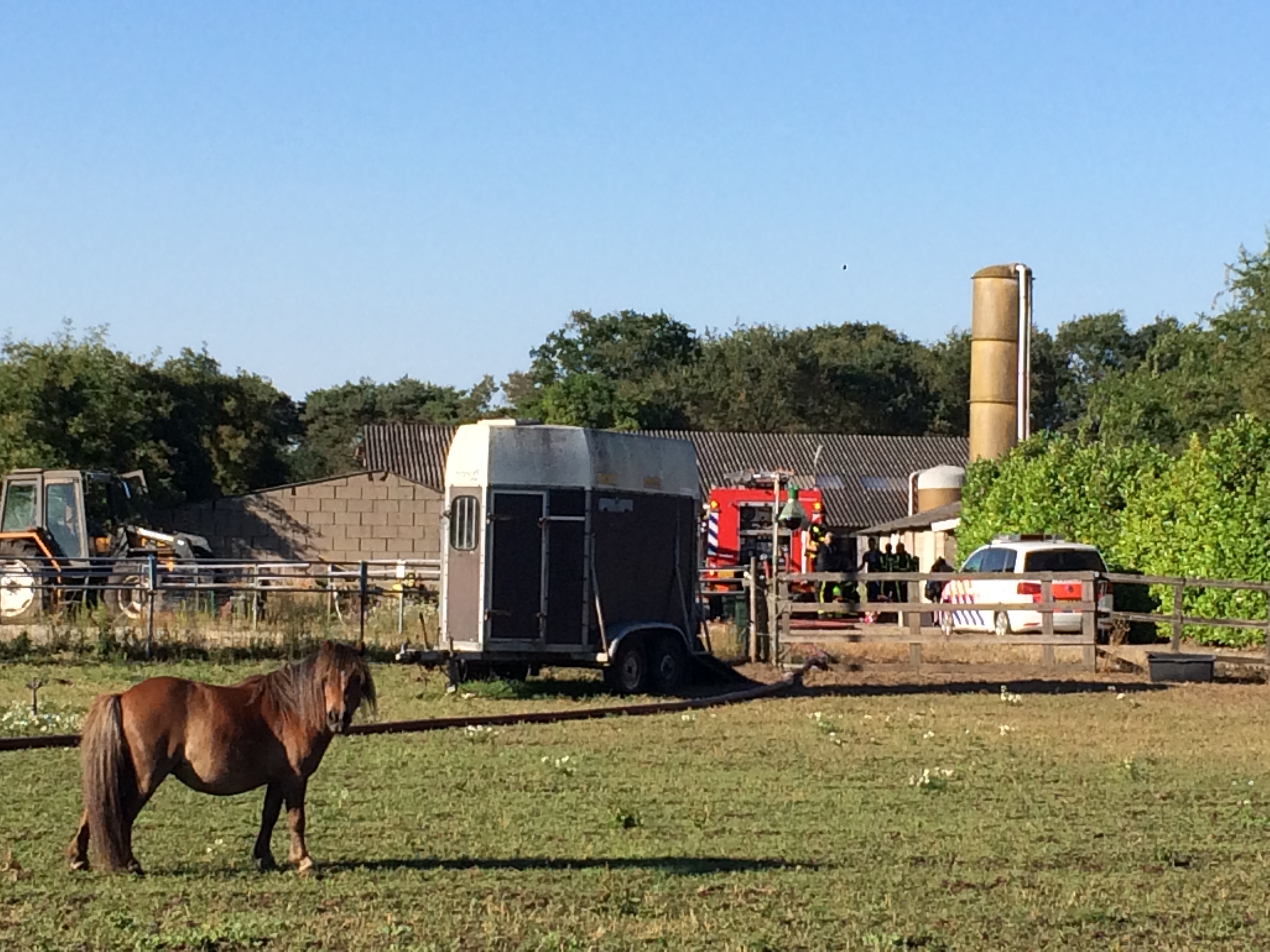 14 maanden cel geëist tegen 'hardleerse hennepkweker' uit St... - De Limburger