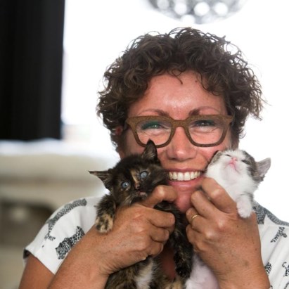 Overvloedig Hysterisch grillen Tientallen kittens zoeken gastgezin - De Limburger Mobile