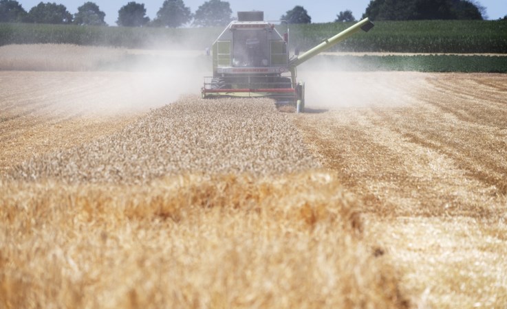 Droogte: 'Het is nog geen crisis, maar het is wel zorgwekkend'