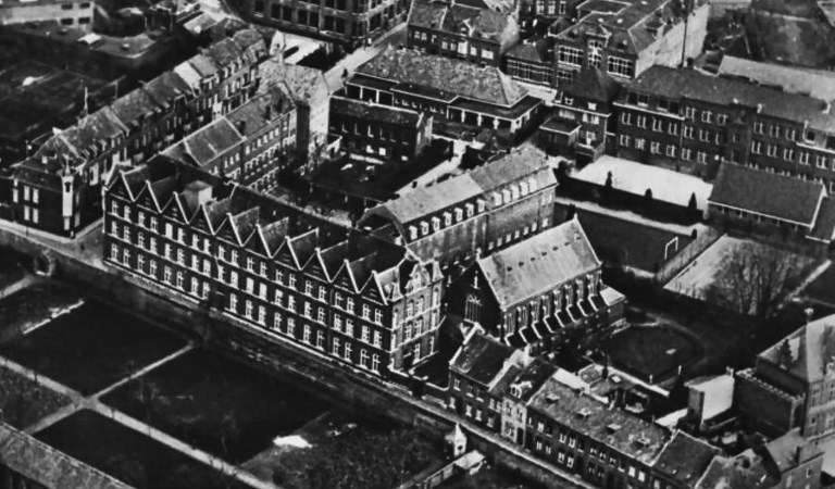 Het mysterie van de ‘rode vosjes’