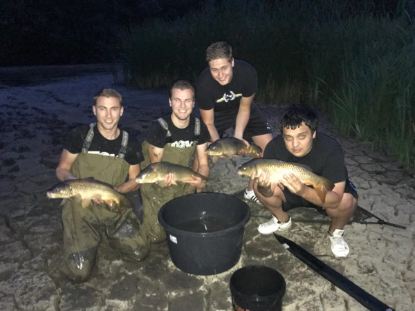 Jongemannen redden spartelende karpers uit drooggevallen poel