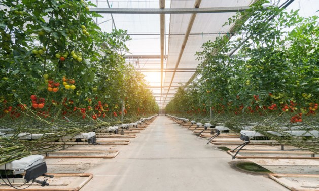 Minister van Landbouw: duurzaam eten vraagt hogere prijzen