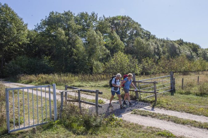 Limburg verontrust door Afrikaanse varkenspest in België