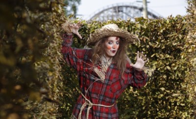 Behind The Scary Scenes Van Halloween In Toverland De Limburger Mobile