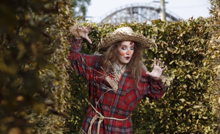 Behind the scary scenes van Halloween in Toverland - De ...