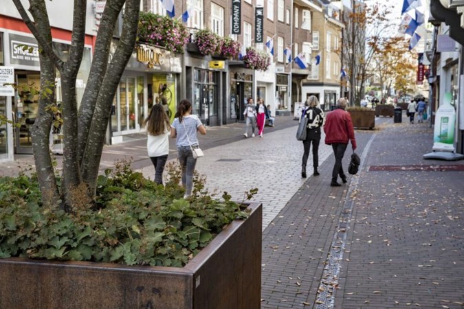 Zijn bomen redding voor winkelstraat in Roermond?