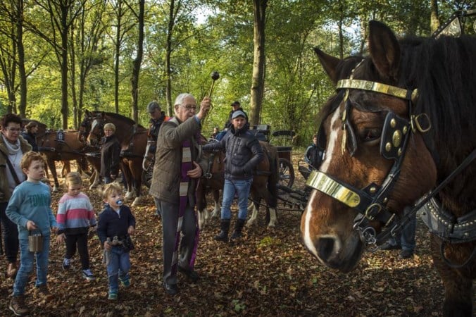 Kruidenbroodjes en zegeningen voor honden en paarden