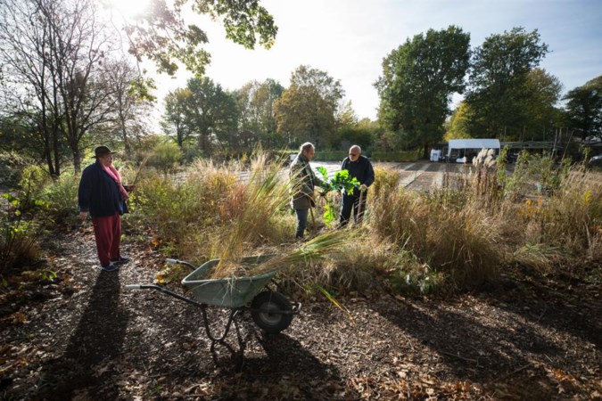 Schimmert verliest trekpleister: bijzondere plantenkwekerij moet verkassen