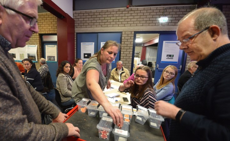 Proefproject: wijkbewoners beslissen over besteding gemeentegeld