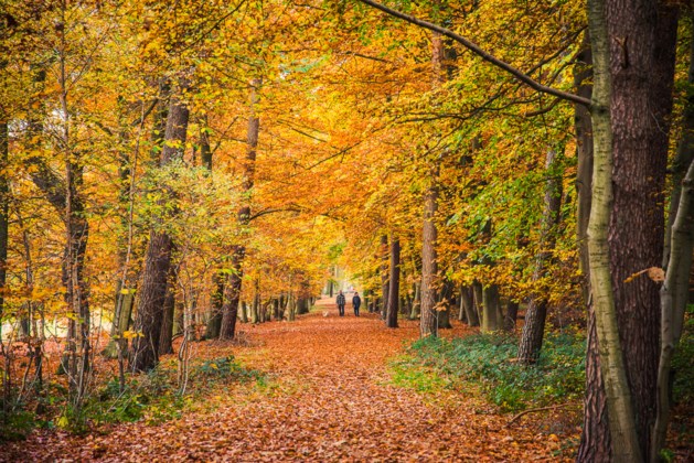 Wandeling voor mantelzorgers van mensen met dementie