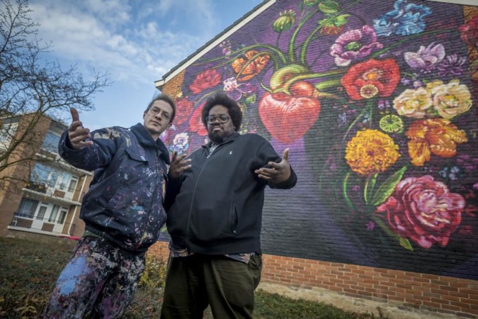 Schilderingen in woonwijk als straatkunst