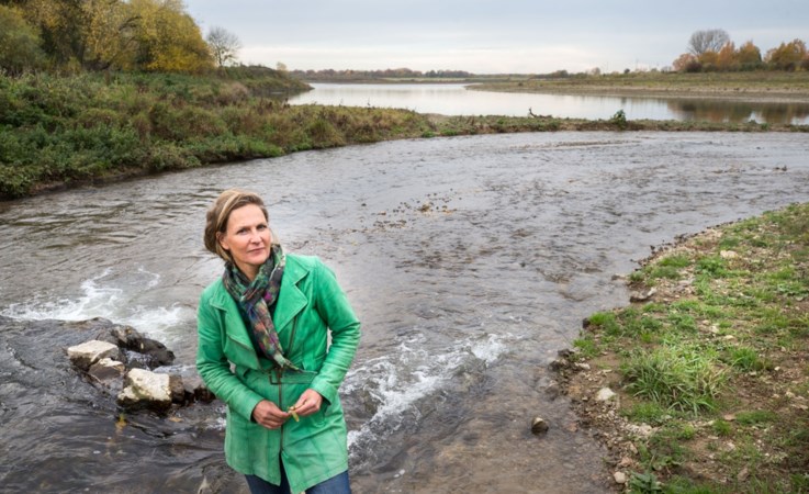 Sluizen gaan open: 'Hopen dat trekvissen terug naar Limburg komen'