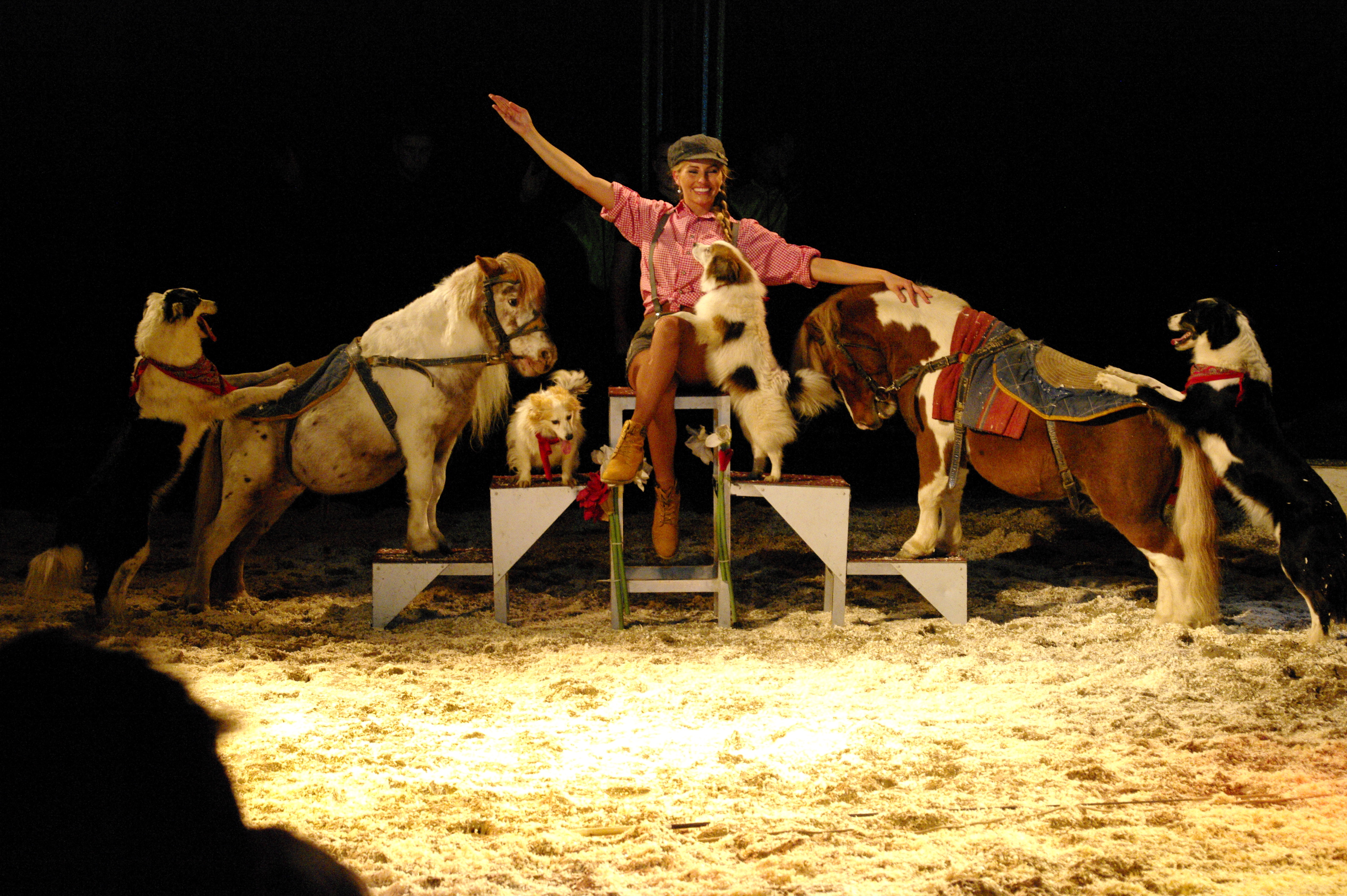 Circus Renz komt met kerst naar Maastricht De Limburger