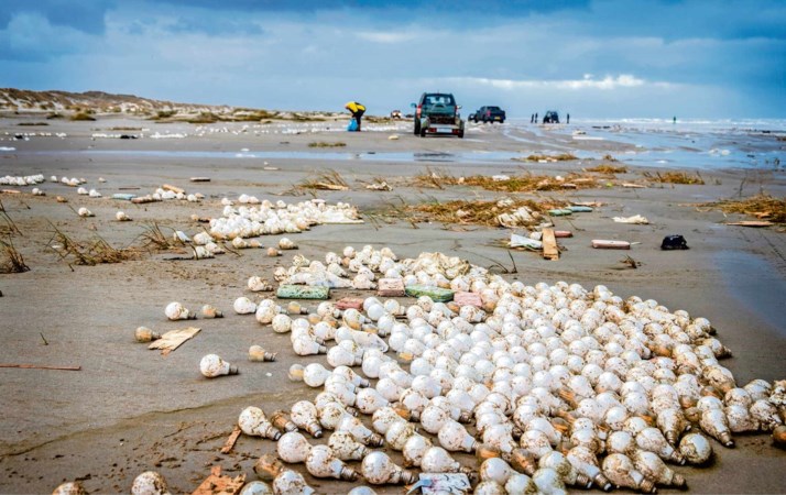 Geluksdag voor strandjutters op Waddeneilanden