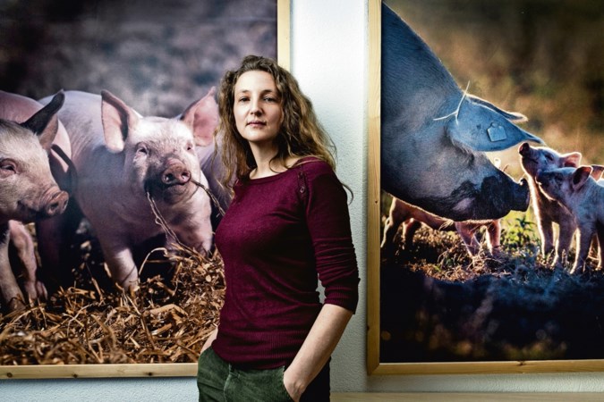 ‘Onzinnig om boeren de schuld te geven’