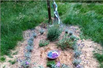 Man laat echtgenote opnieuw begraven na heibel over een plantje