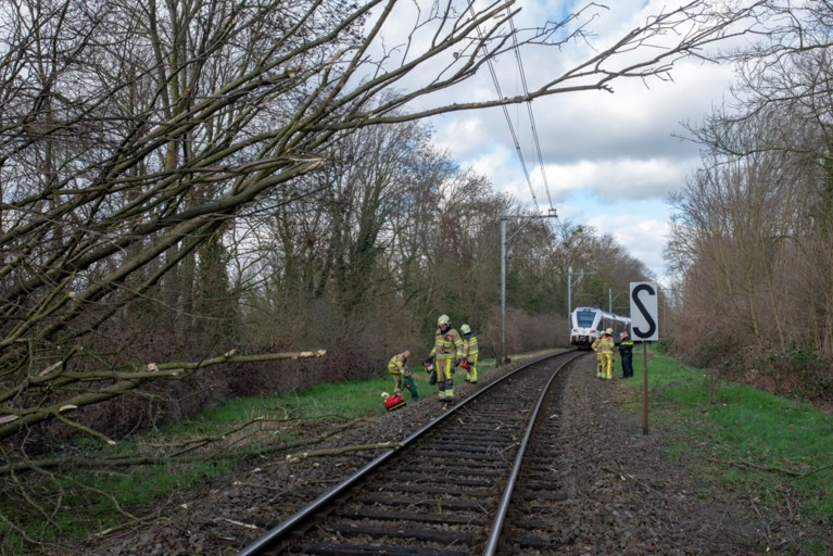 Honderden meldingen van stormschade in Limburg