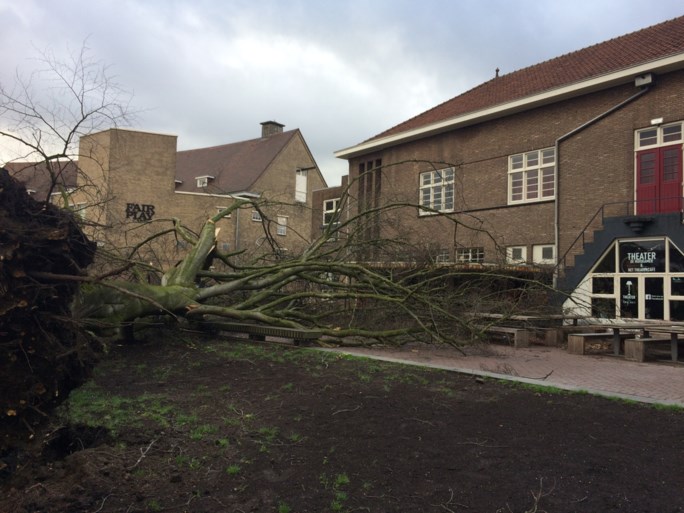 Honderden meldingen van stormschade in Limburg