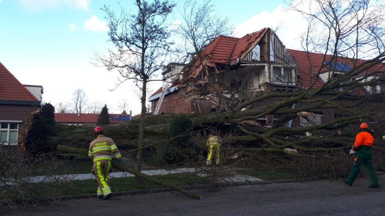 Honderden meldingen van stormschade in Limburg