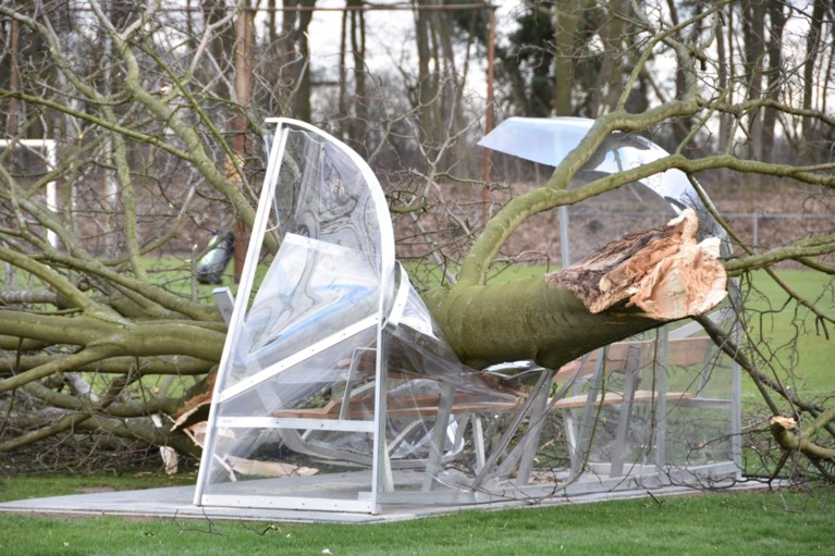 Honderden meldingen van stormschade in Limburg