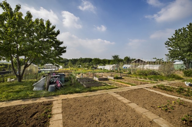 Info-avond over bouwplan Malberg