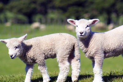 Natuurlijk Roermond Evenement Rond Natuur En Beleven De Limburger Mobile
