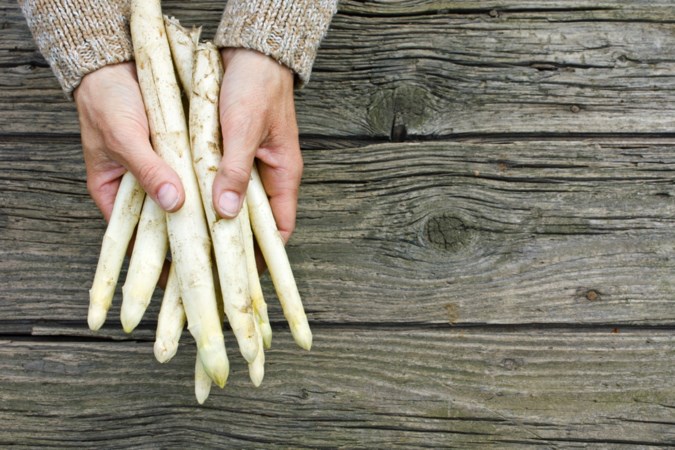 Limburg is dé aspergeprovincie, maar Brabant wil stokje overnemen