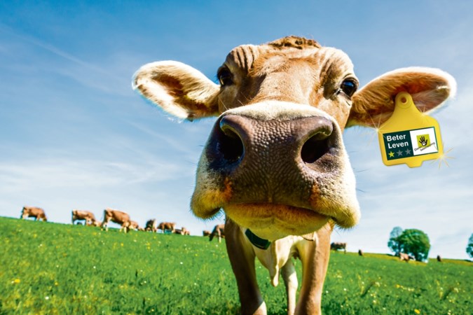Ook zuivelproducten krijgen Beter Leven-keurmerk