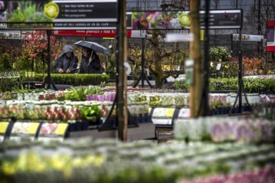 Intratuin Tuin Terras Tuin Buitentuinen Kleine Tuin Ontwerpen