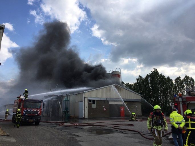 Video: Grote brand in kunststofbedrijf Susteren, rookwolken van ver te zien